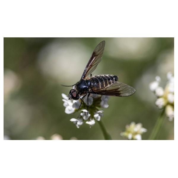 PHOTO84, CLUB, 84 , LUBERON